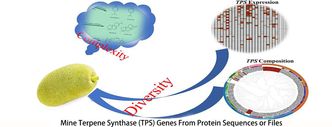 TPS Identification Banner